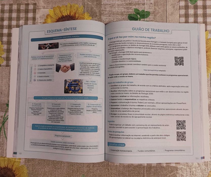 Área de Integração 11° ano