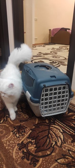 переноска для тварин Оренда