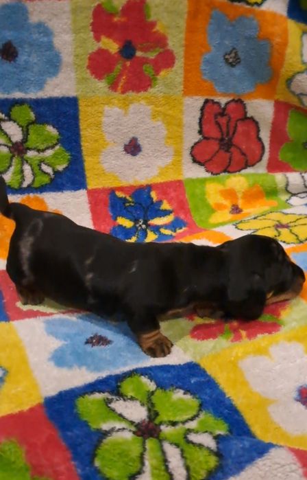 Чекає саме на Вас