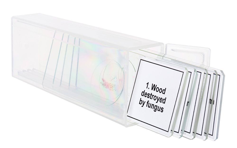 Discovery DPS 5 "Mutacje" / Zestaw preparatów mikroskopowych