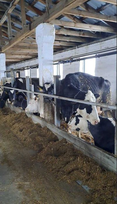 Продаж комлексу Врх