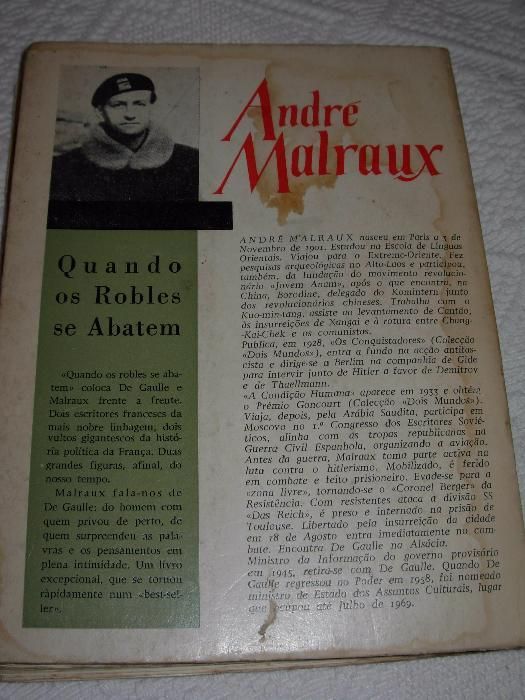 Quando os Robles se abatem - André Malraux