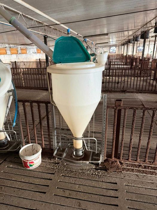 Tubomat – automatyczny dozownik paszy dla trzody chlewnej