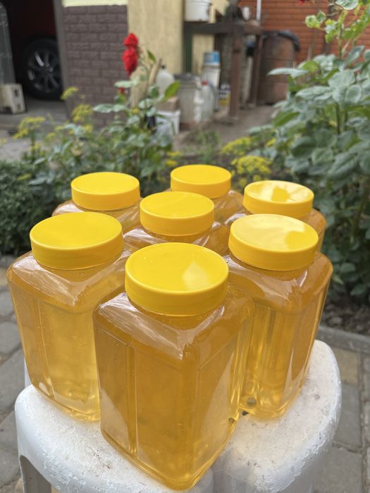 Мед з білої акації/соняшниковий/гречаний 2022 рік