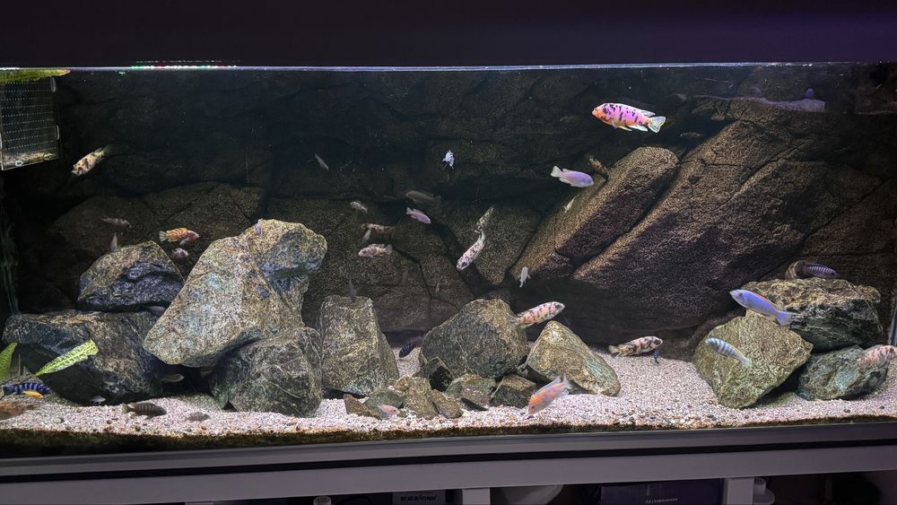 Akwarium 160x60x60 576l z tłem Back To Nature