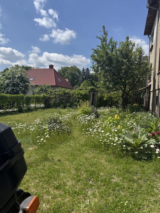 Wolnostojący dom z garażem i piwnicą