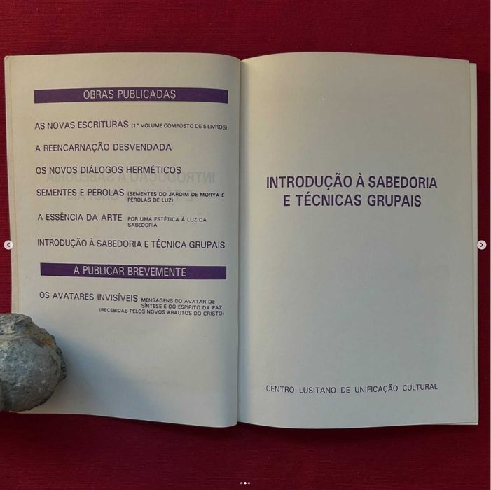 Introdução à Sabedoria e Técnica Grupais