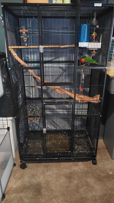 Gaiola com duas aves