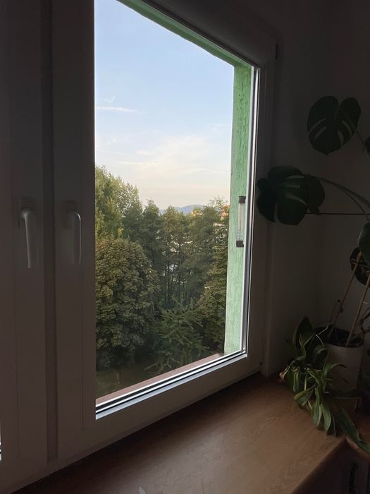 Mieszkanie – Bielsko-Biała - Widok 5