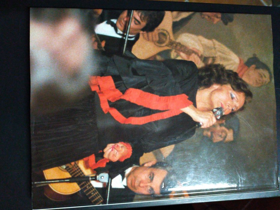 Amália - Uma Estranha Forma de Vida de Vítor Pavão dos Santos