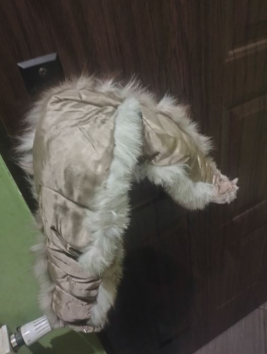 Czapka szal z lisa PRL rękawiczki