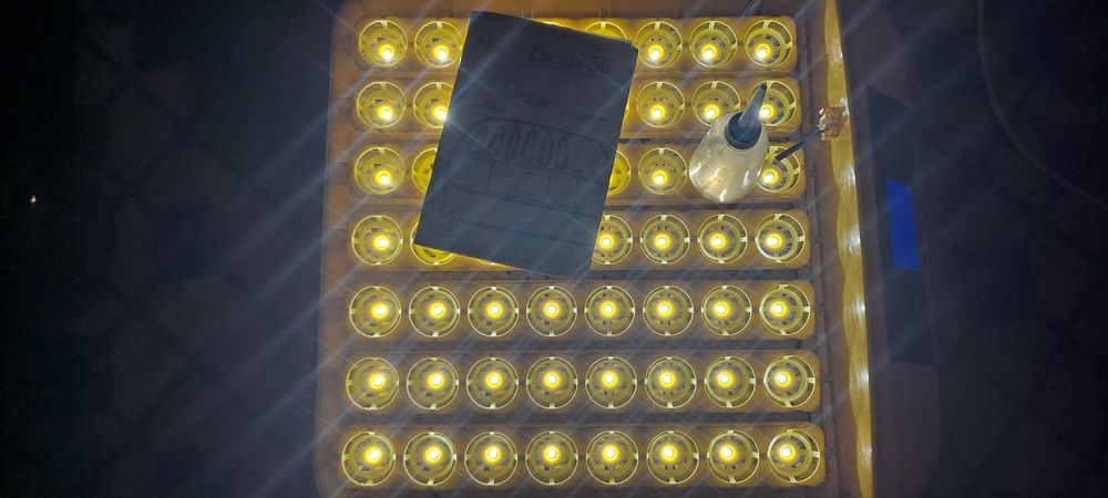 ПРОДАМ Іінкубатор теплуша  56