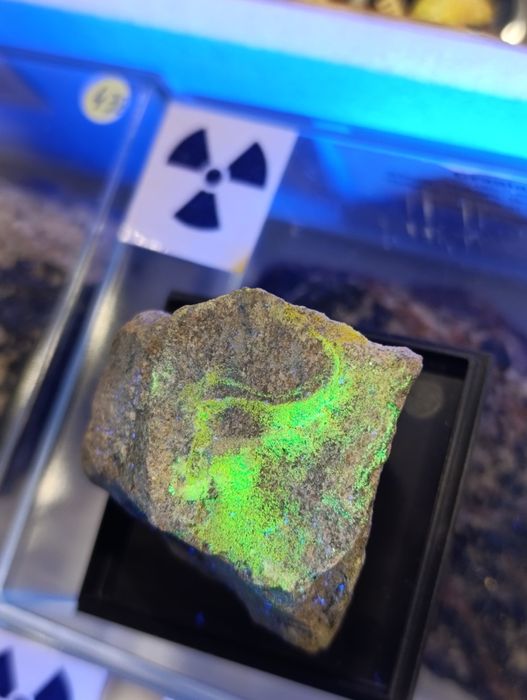 Minerały do kolekcji uranowy uranopilit Kowary Polska. UV.