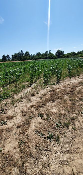 Ділянка під будівництво в селі