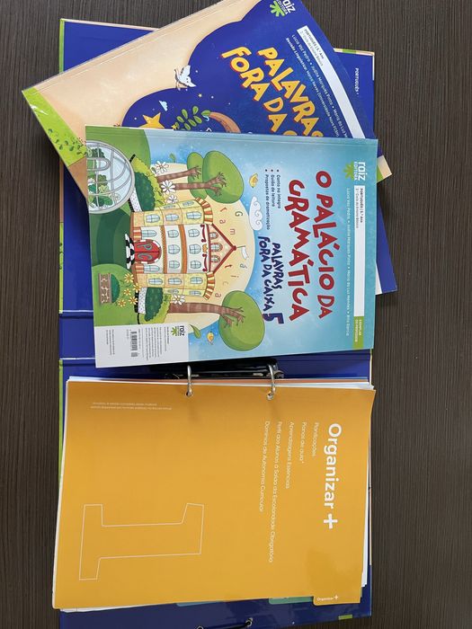 Manual do professor Palavras fora da caixa 5 ano