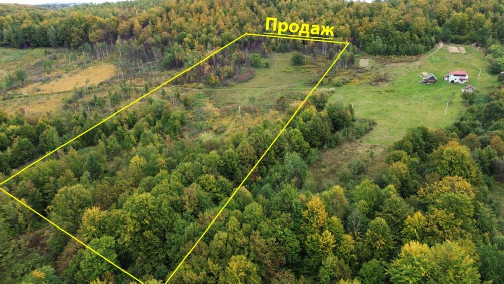 Ділянка в Карпатах.