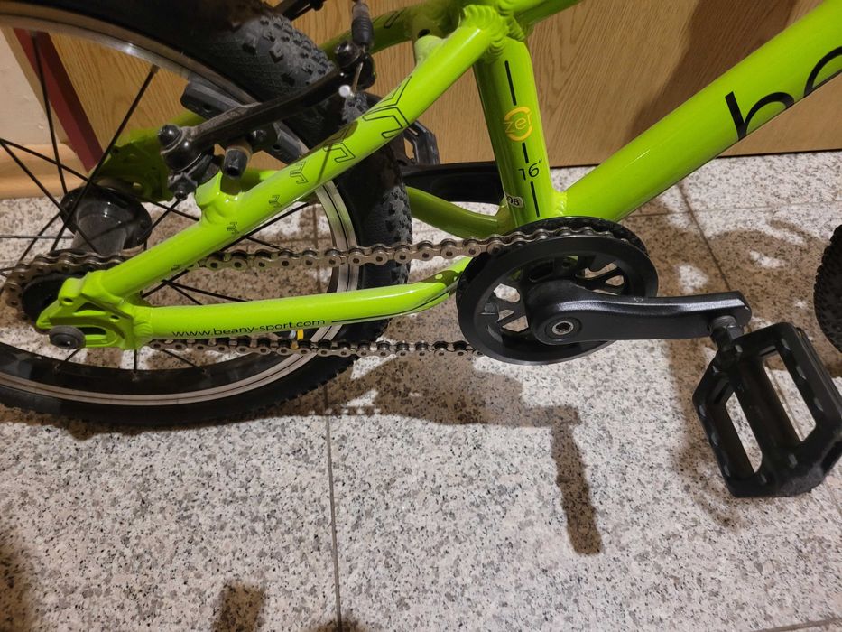 Rower Beany Zero 16 zielony