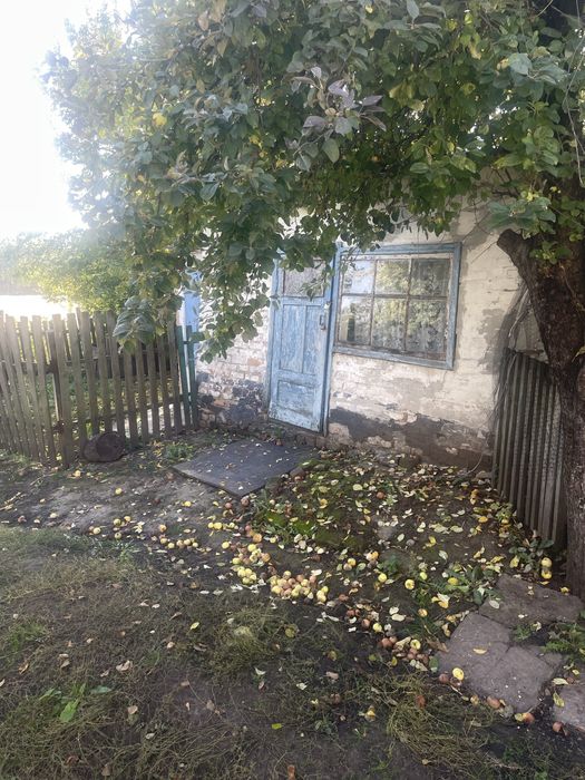Продається будинок в с .Бистрик , що біля селища Ружин