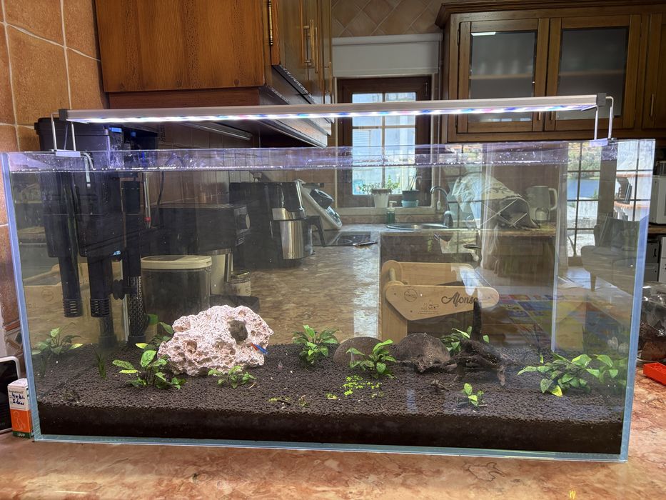 Aquario completo 120L