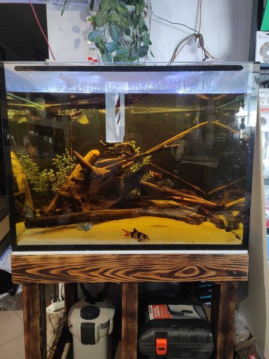 Akwarium Duże z Szafką 79x68x60cm 322l z życiem i akcesoriami