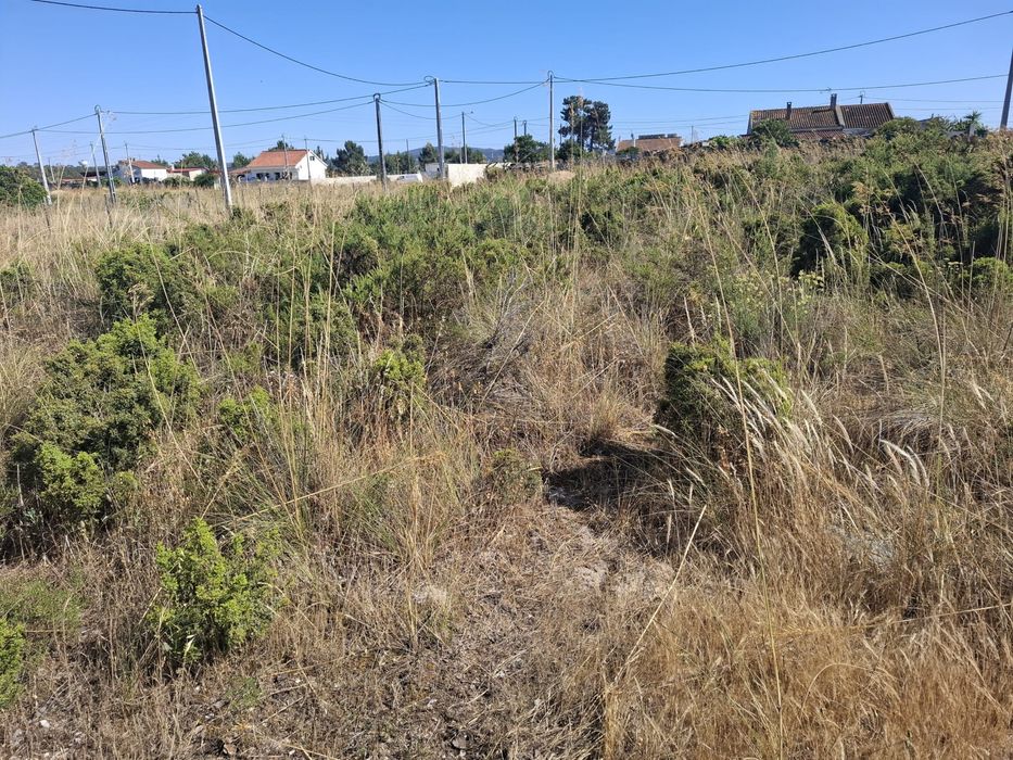 Lote de terreno 350mts2