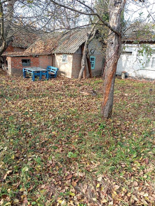 Будинок в Диканька ,опалення пічне+ газ,з енергонезалежним котлем