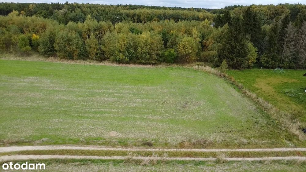 Działka 1015 m² Żuławka | MPZP | prąd | spokojna okolica