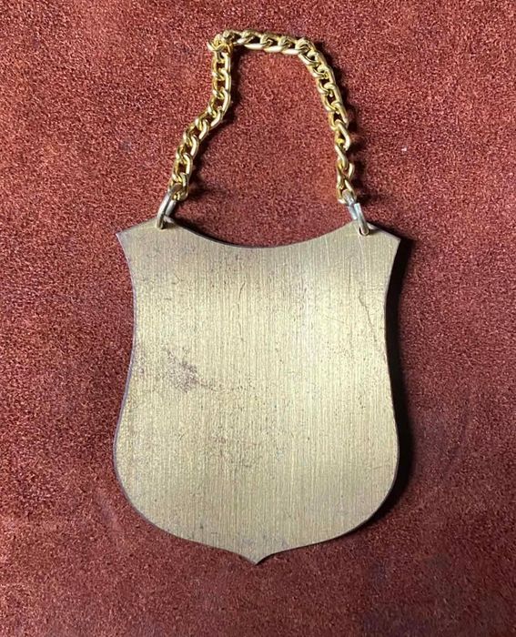 Ryngraf Matka Boska Bieszczadzka Bieszczady