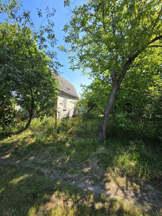 Продаж дачі Нова Українка