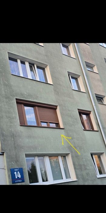 Zdjęcie 7
