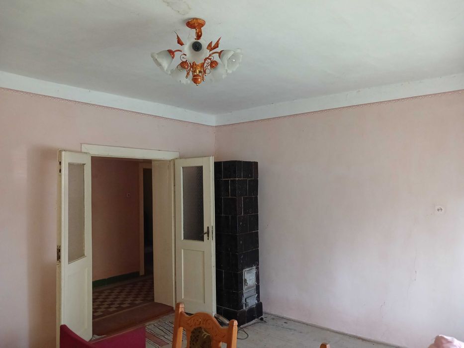 Будинок під бізнес та житло в затишному селі Берегівщини (ліс, озеро).