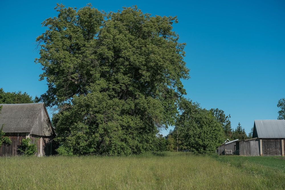 Zdjęcie 3