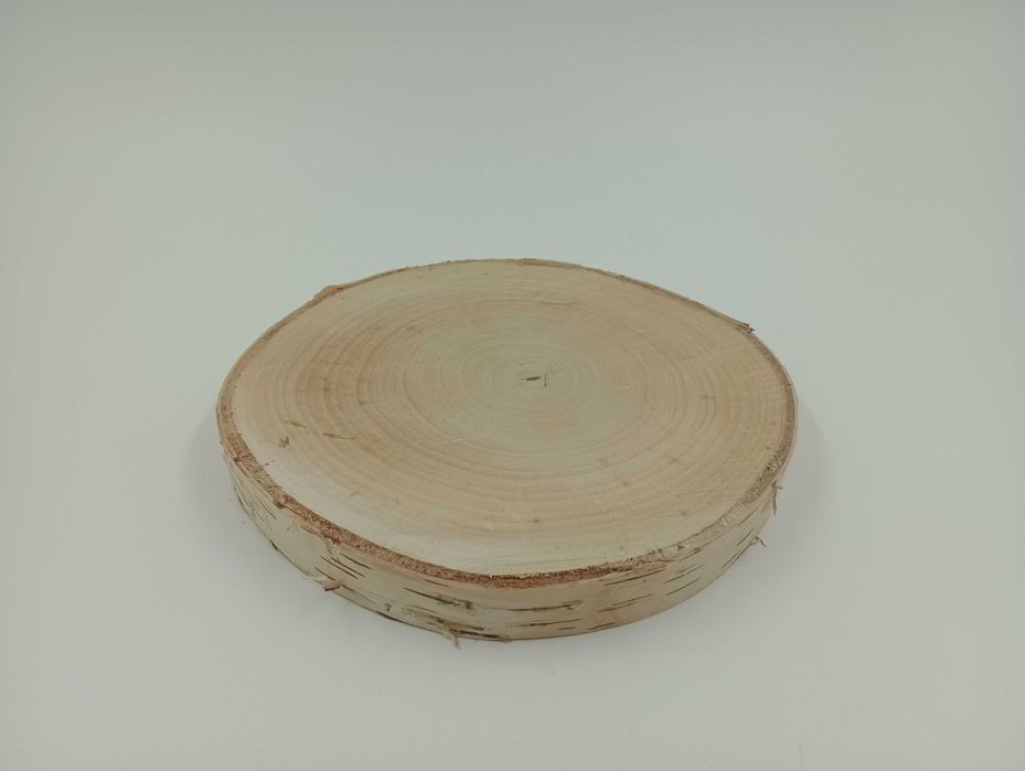 Plastry brzozowe, krążki brzozowe  15-20 CM  P2