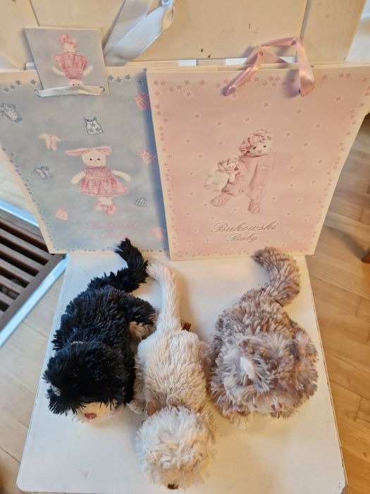 Bukowski - rodzinka pluszowych kotków + 3 różne torby gratis