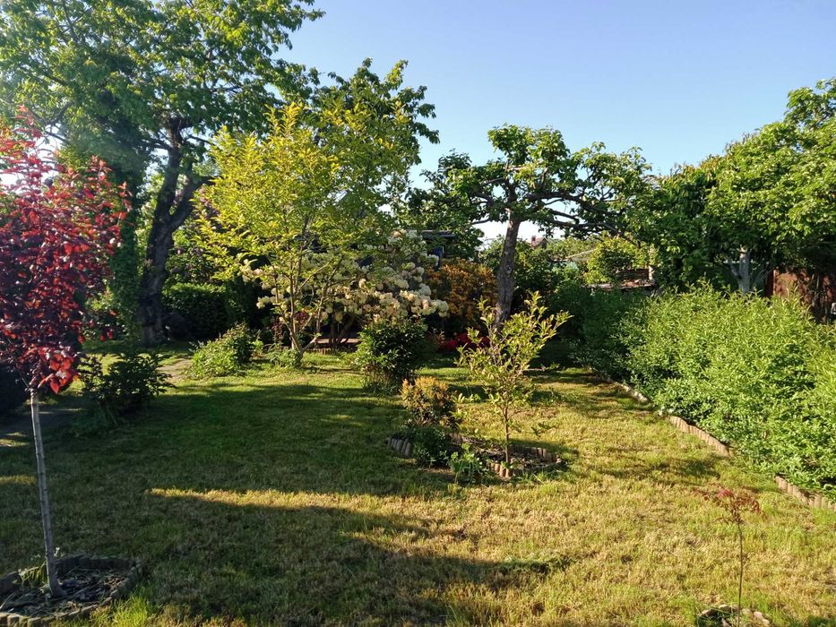 działka Gdynia ROD Kwiatkowskiego