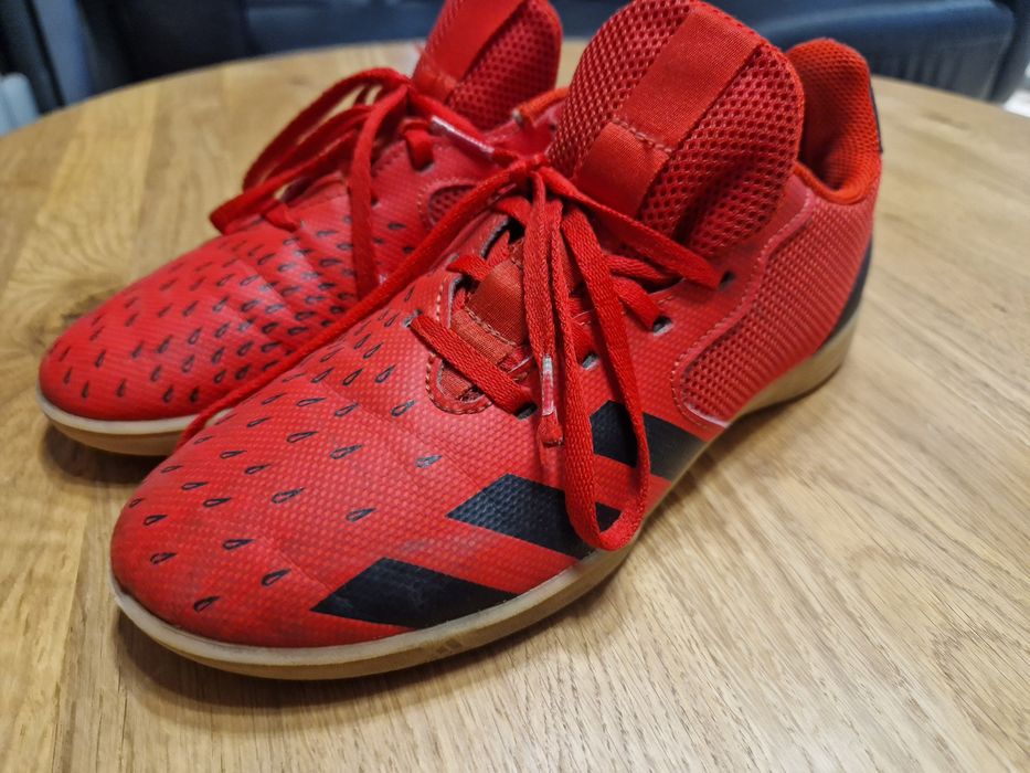 Adidas predator 38 halowki
