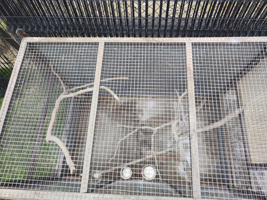 Woliera zewnętrzna dla ptaków