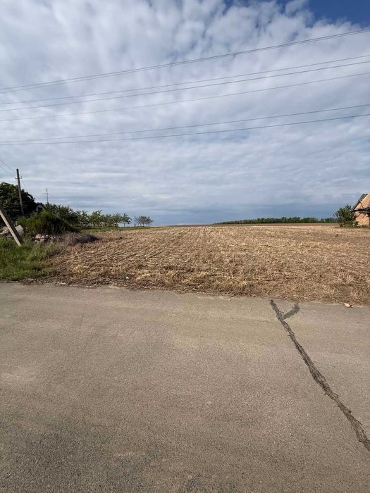 Продається земельна ділянка в селі Піківець