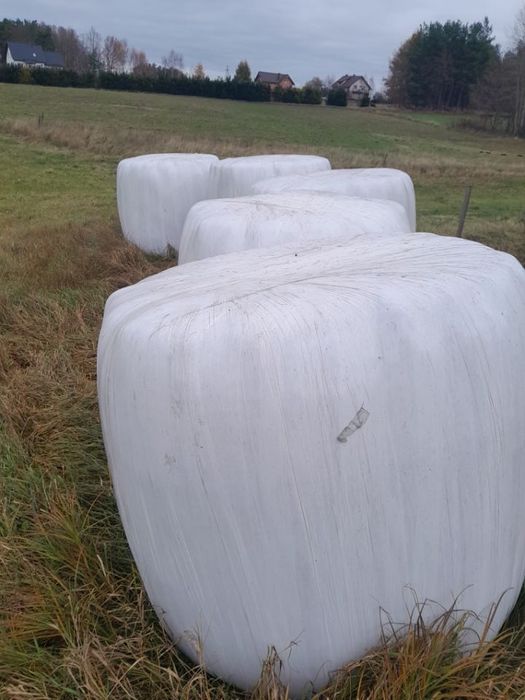 Baloty sianokiszonki