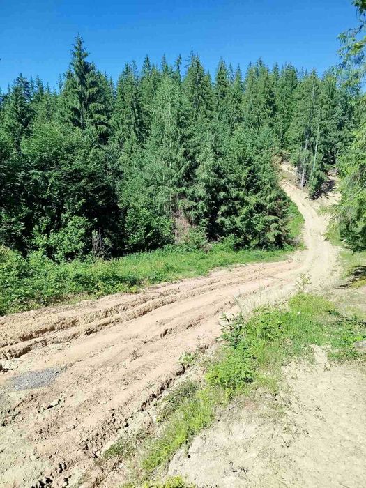 Будиночок в Карпатах, урочище Полянки з великою земельною ділянкою