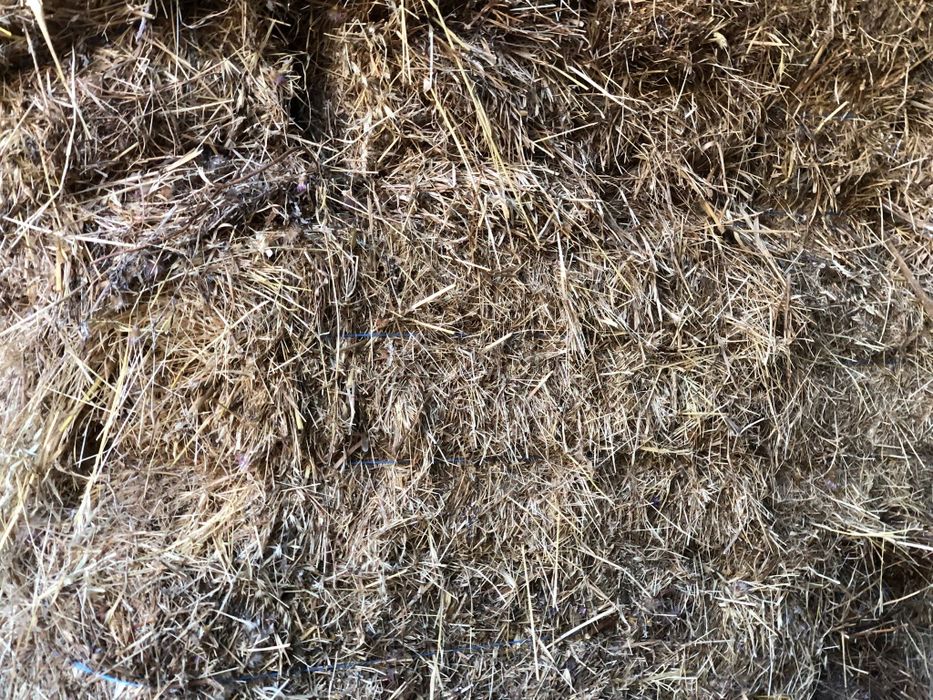 Vendo fardos de feno