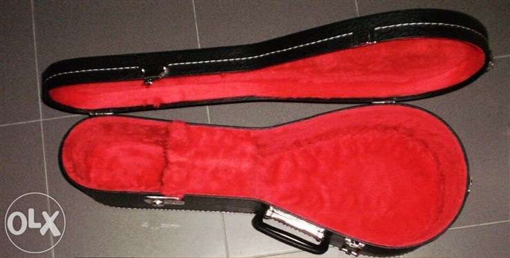 Estojo para bandolim napolitano