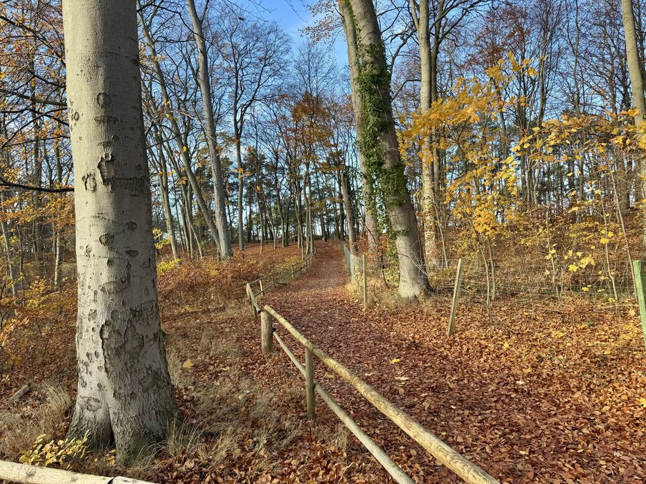 Apartament 150 metrów od morza