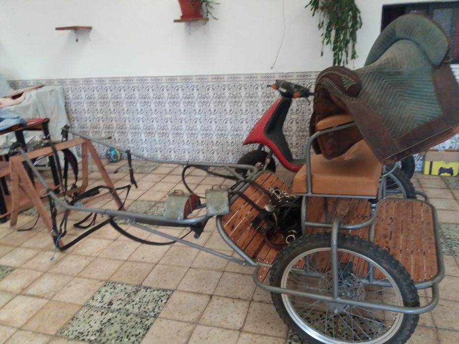 Charrete para venda