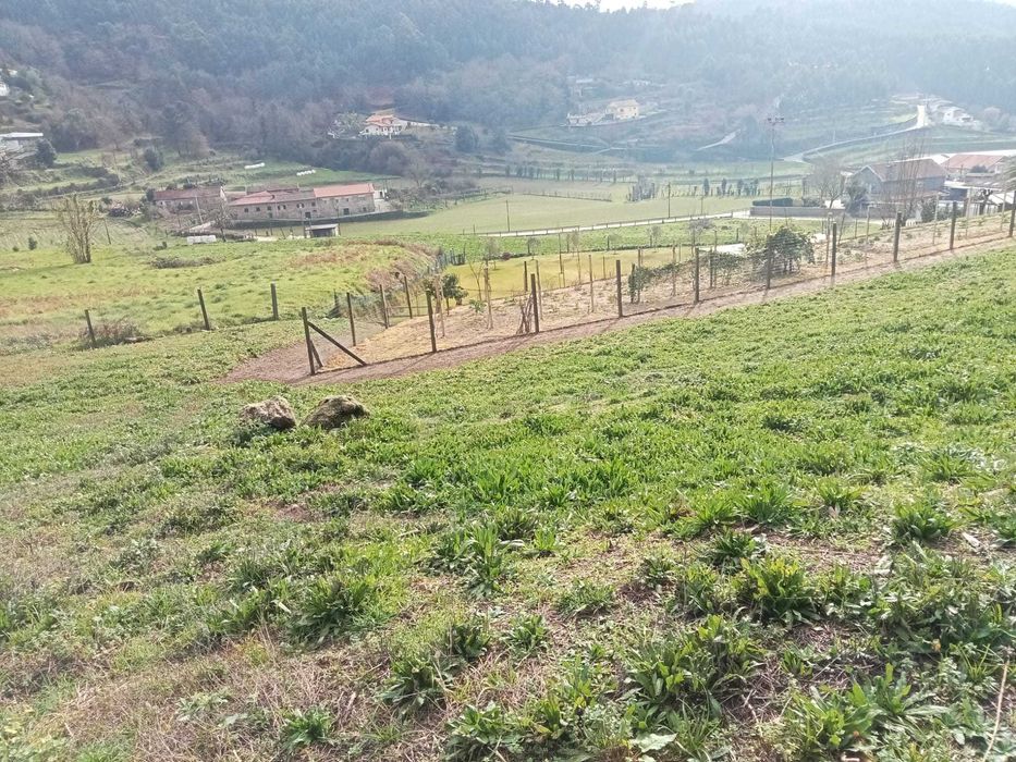 Quinta para Workshops de Jardinagem, Cultivo e Sustentabilidade