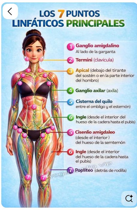 Equilíbrio do corpo com técnica Japonesa