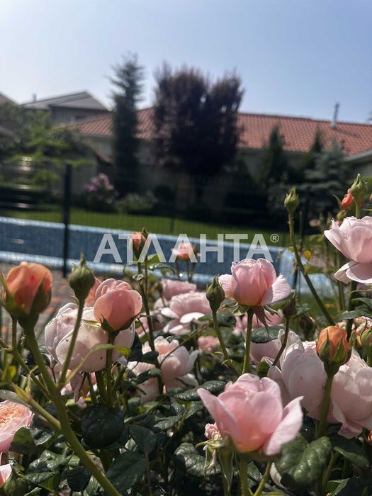 ДОМ мечты Совиньон 3