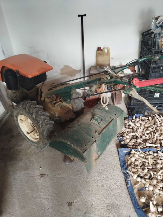 Trator Goldoni 14CV
