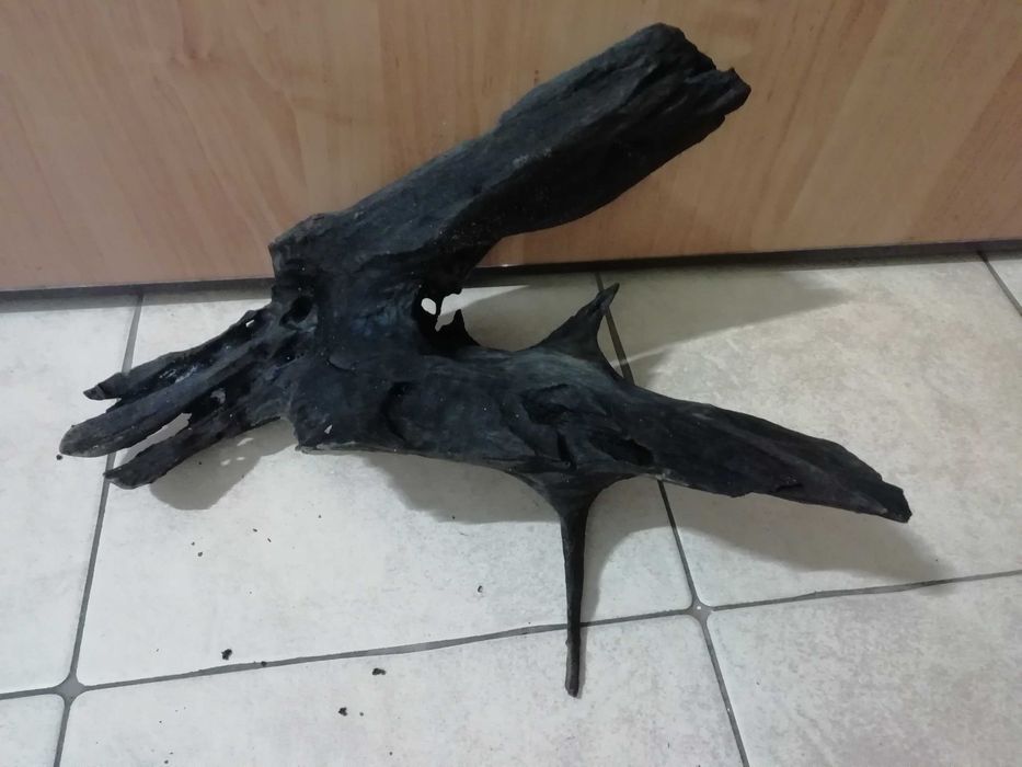 tonący korzeń o wymiarach 40x35x17