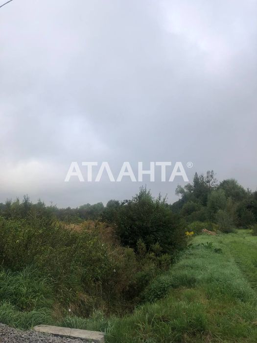 Продаж двох суміжних земельних ділянок у с. Суховоля